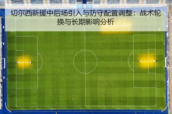 qie-er-xi-xin-yuan-zhong-hou-chang-yin-ru-yu-fang-shou-pei-zhi-tiao-zheng-zhan-shu-lun-huan-yu-chang-qi-ying-xiang-fen-2-103.jpg